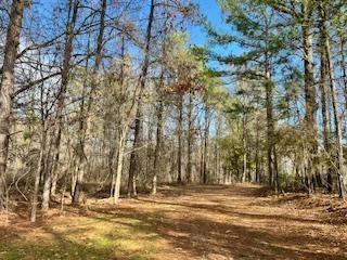 2014 LIBERTY RD, ROXIE, MS 39661, photo 2 of 75