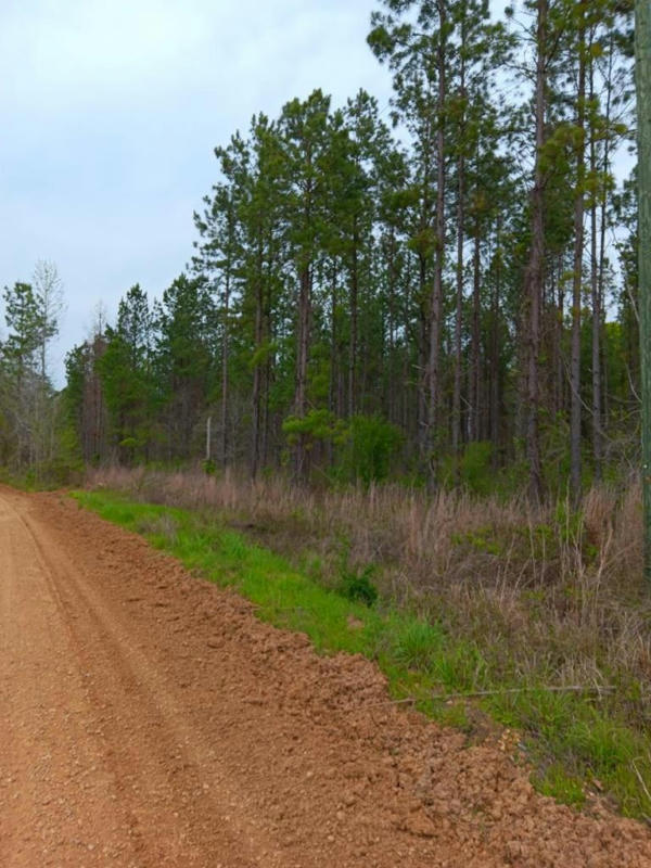 00 HAMBURG RD., FAYETTE, MS 39069, photo 1 of 8